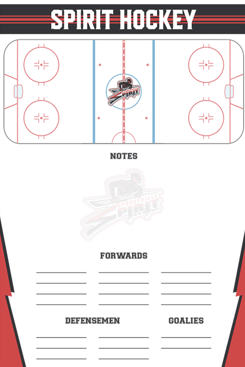 Hockey Rink and Positions Board